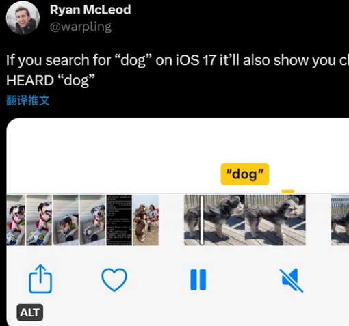 辉南apple维修店分享通过关键字搜索iPhone视频内声音